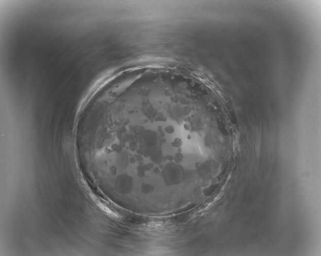 X0000066120101200603131338