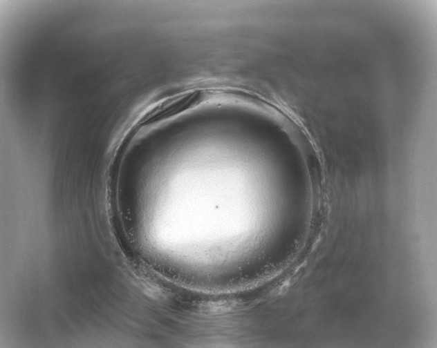 X0000066120103200603131338