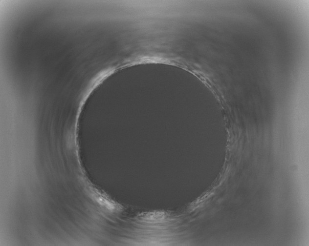 X0000066120104200603131338