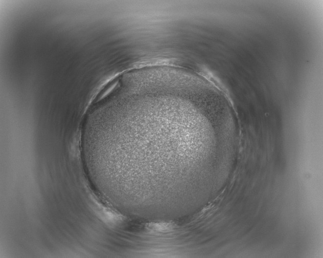 X0000066120107200603131338