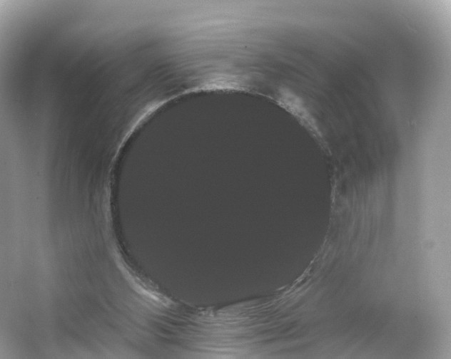 X0000066120108200603131338