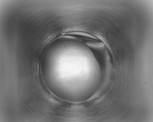 X0000066120109200603131338