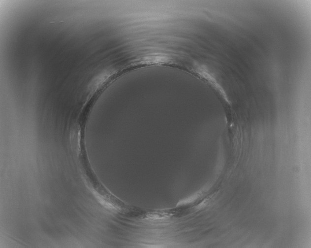 X0000066120110200603131338