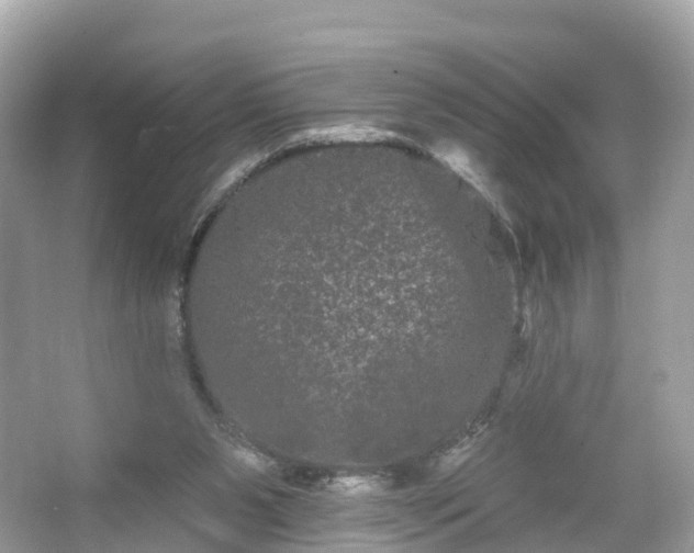 X0000066120111200603131338