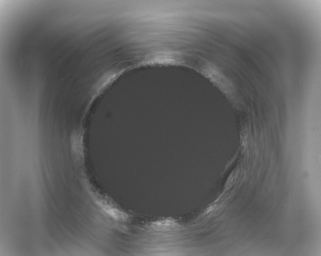 X0000066120112200603131338