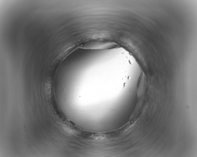 X0000066120113200603131338