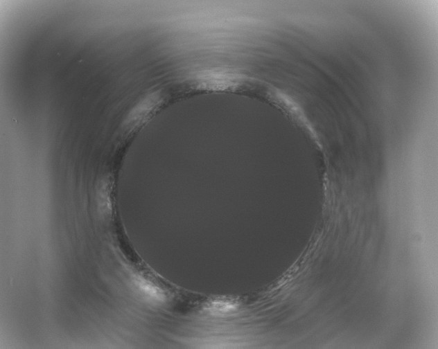 X0000066120114200603131338