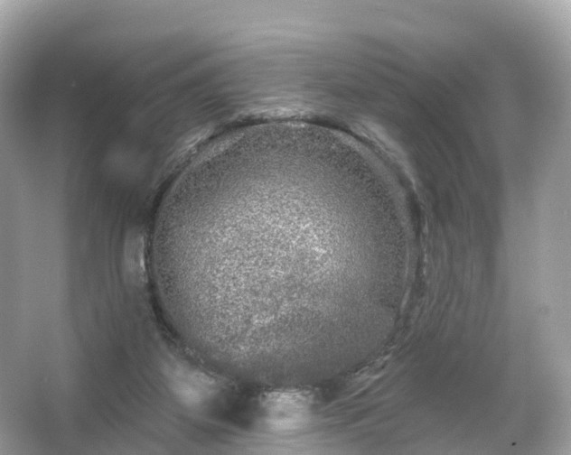 X0000066120115200603131338