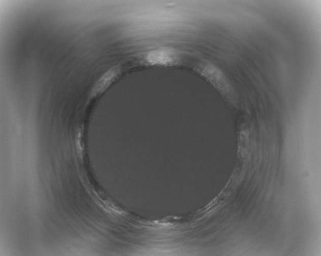 X0000066120116200603131338