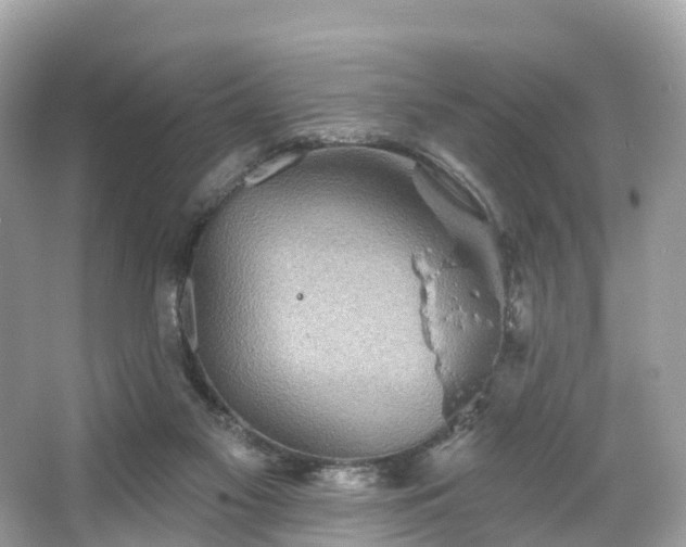 X0000066120117200603131338