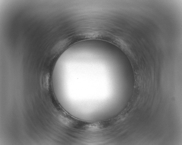 X0000066120118200603131338