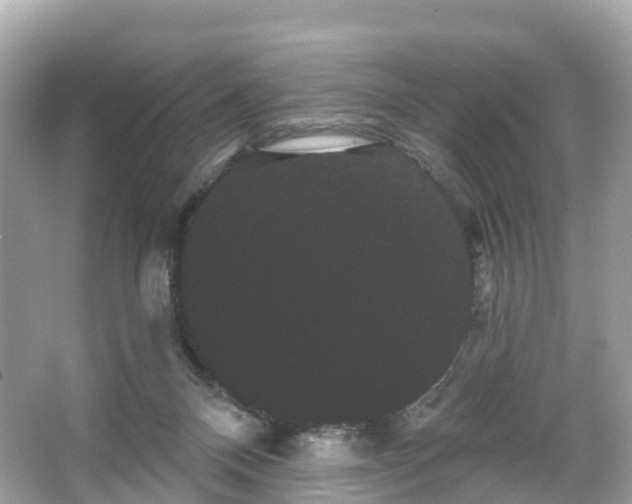 X0000066120120200603131338