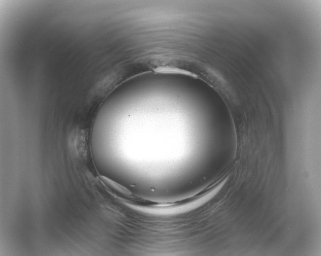 X0000066120121200603131338