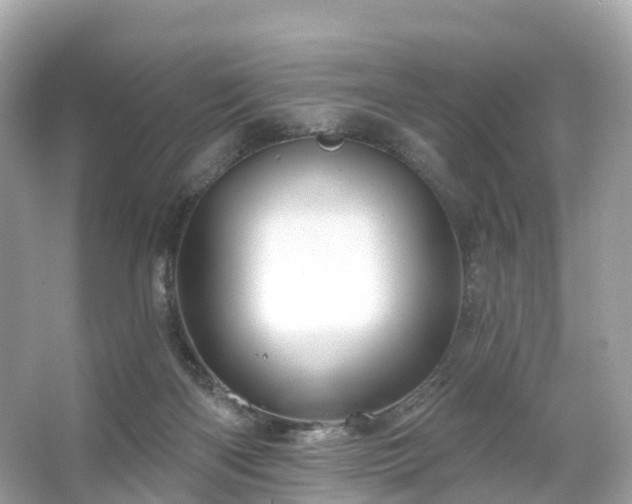 X0000066120122200603131338