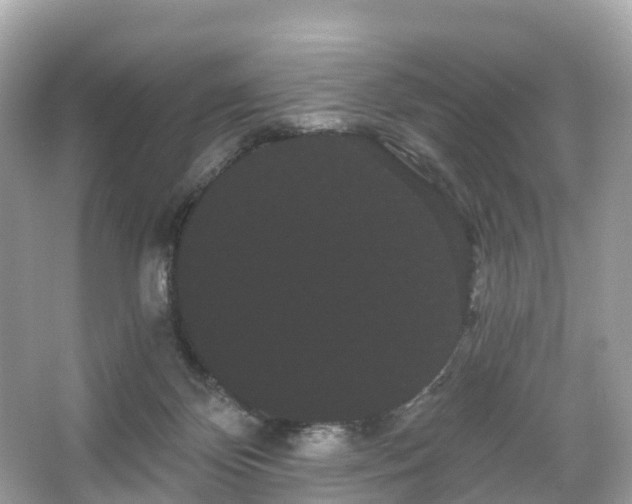 X0000066120124200603131338