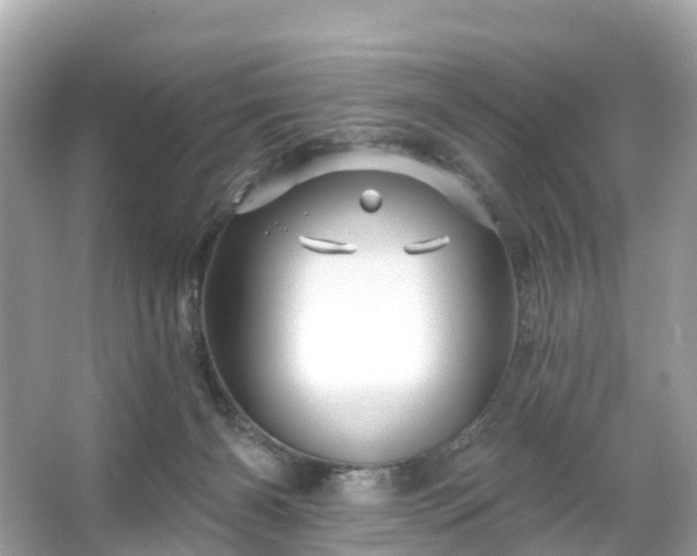 X0000066120126200603131338