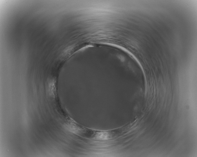 X0000066120127200603131338