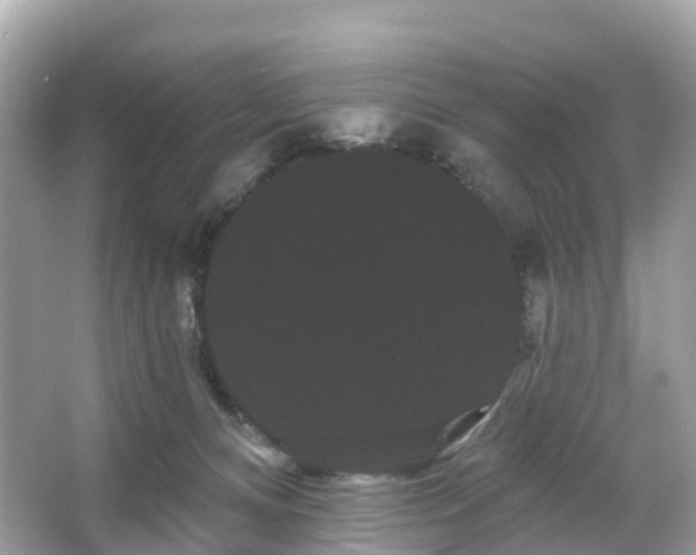 X0000066120128200603131338