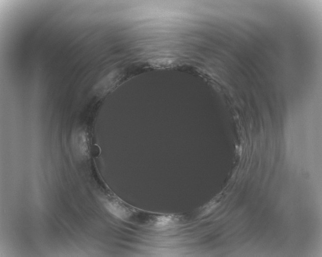 X0000066120130200603131338