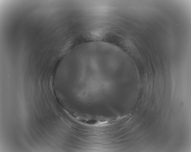 X0000066120131200603131338