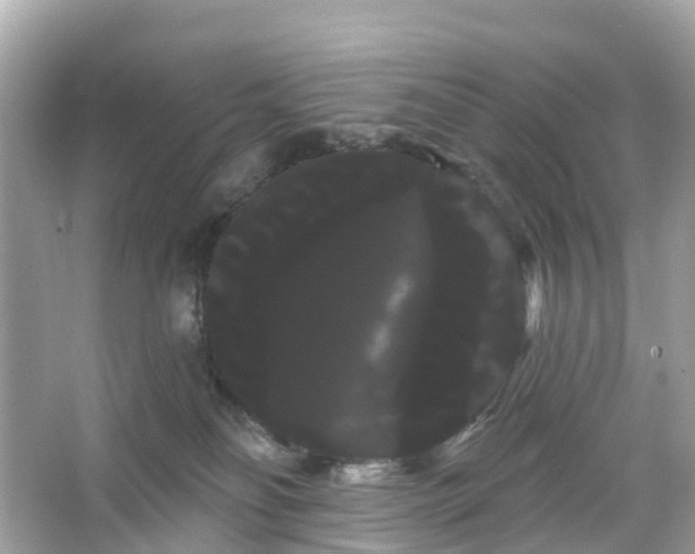 X0000066120134200603131338