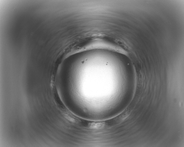 X0000066120135200603131338