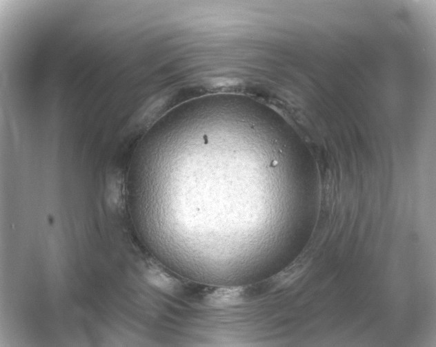 X0000066120138200603131338