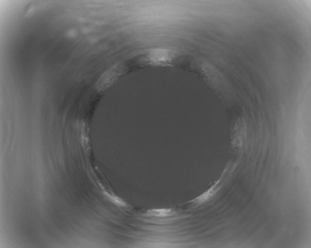 X0000066120140200603131338