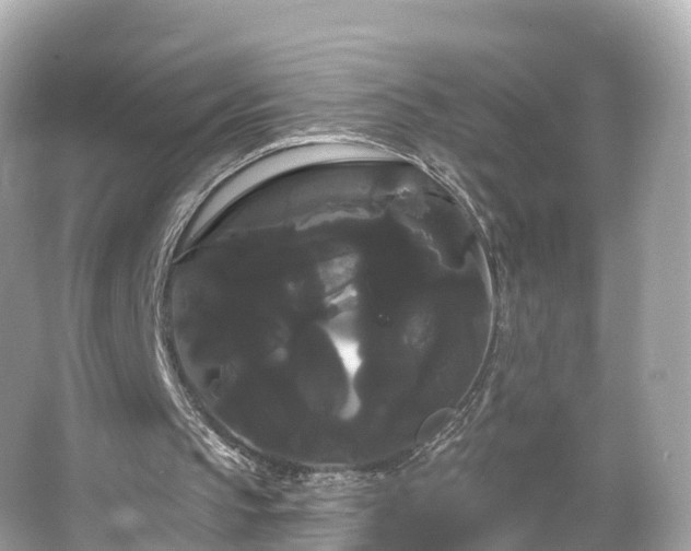 X0000066120145200603131337