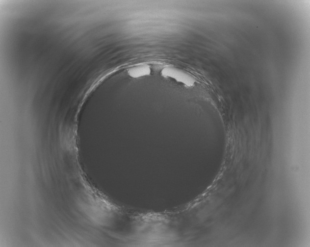 X0000066120146200603131337