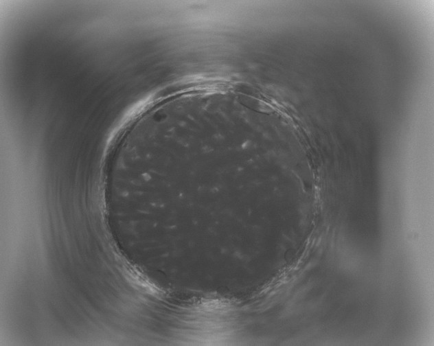 X0000066120149200603131337