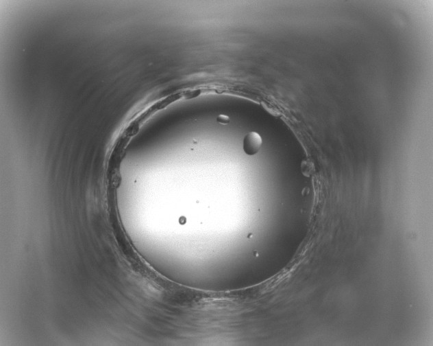 X0000066120150200603131337