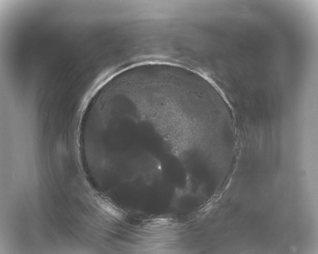 X0000066120151200603131337