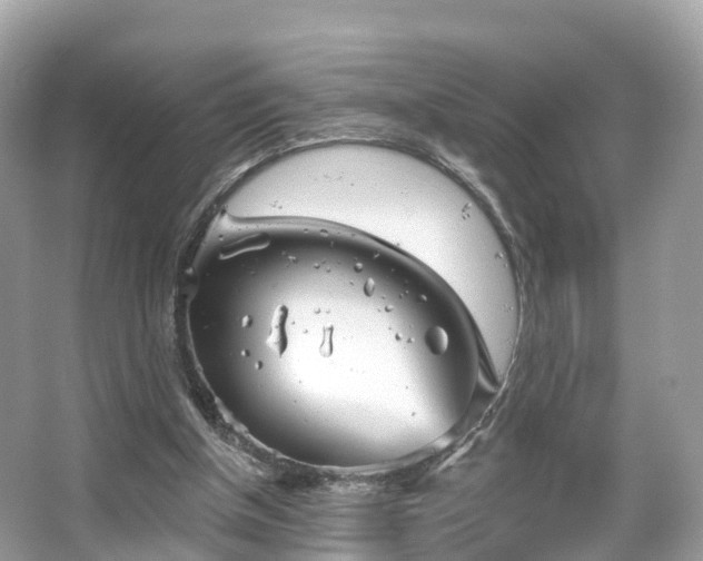 X0000066120154200603131337