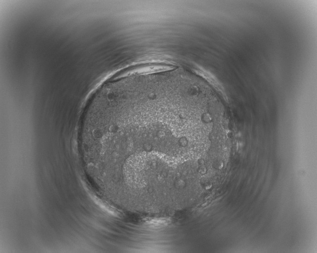 X0000066120155200603131337