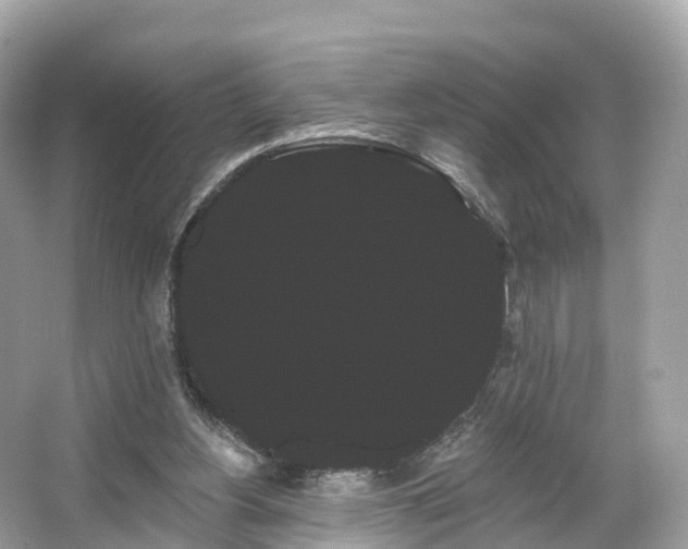 X0000066120156200603131337