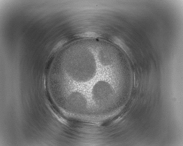 X0000066120157200603131337