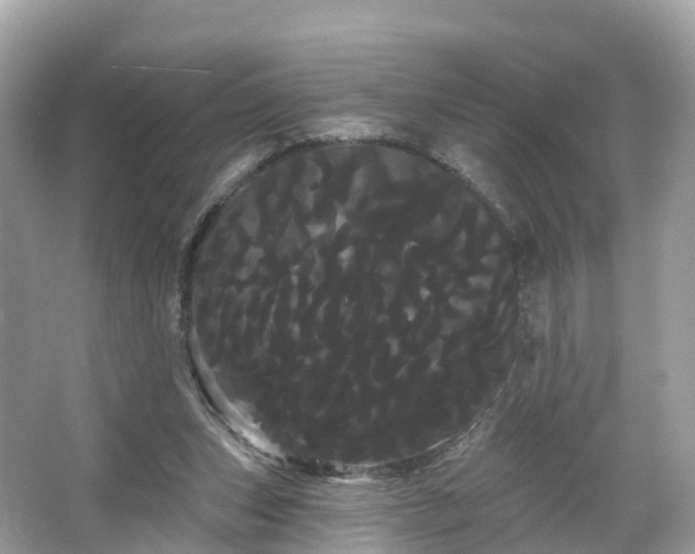 X0000066120159200603131337