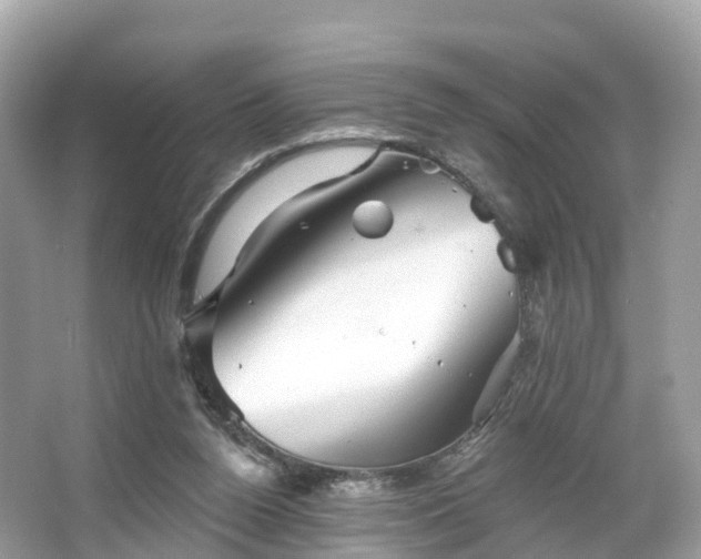 X0000066120160200603131337