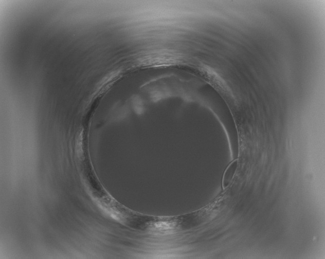 X0000066120163200603131337