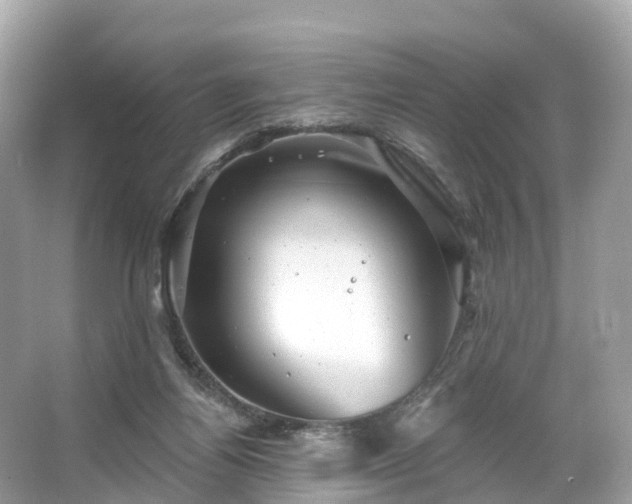 X0000066120164200603131337