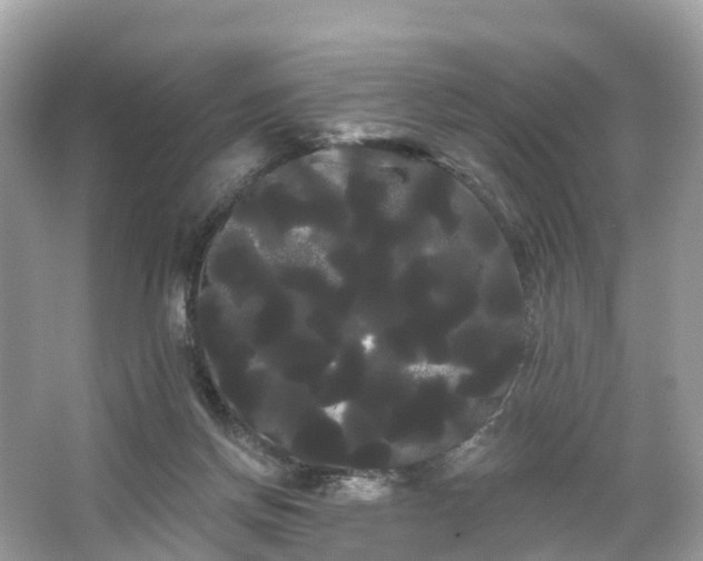 X0000066120166200603131337