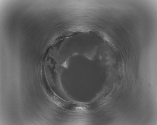 X0000066120167200603131337