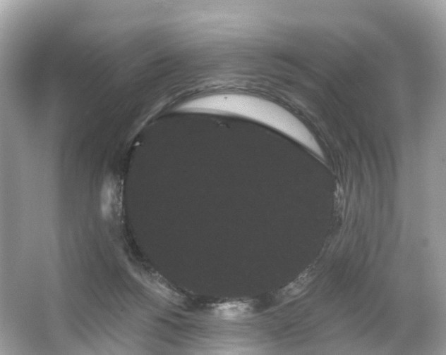 X0000066120168200603131337