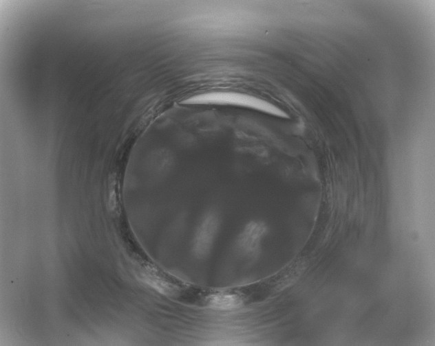 X0000066120169200603131337