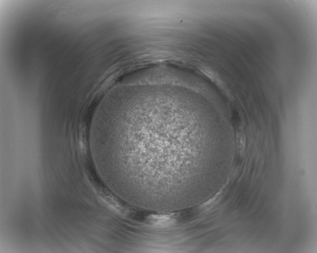 X0000066120170200603131337