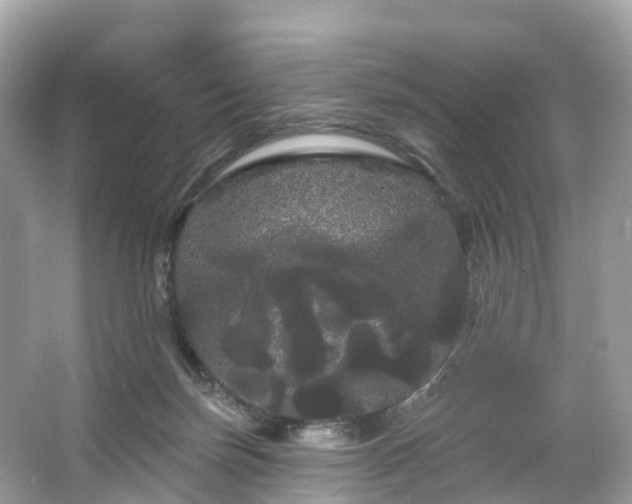 X0000066120171200603131337