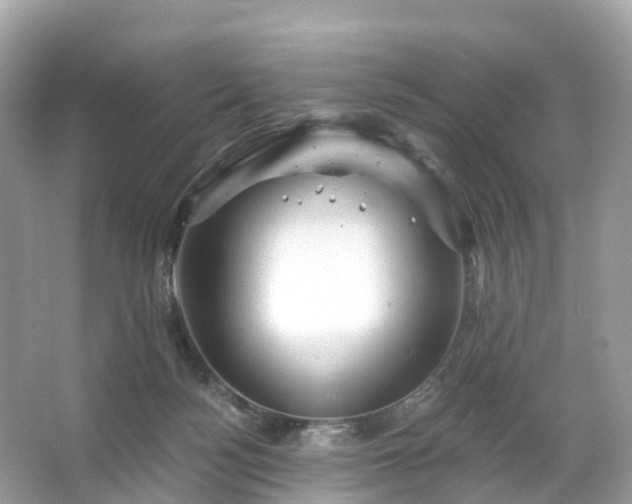 X0000066120172200603131337