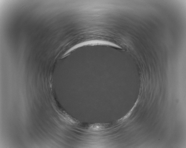 X0000066120174200603131337