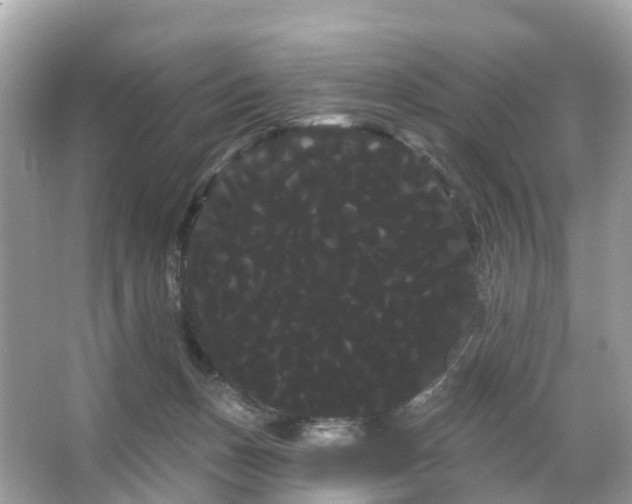 X0000066120175200603131337